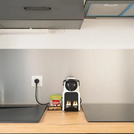 Apartamento L'éclat De Gambetta - Place Stanislas - 6 Pers Nancy