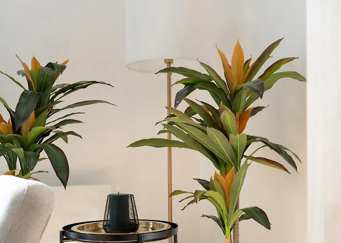 Appartement L'eclat De Gambetta - Place Stanislas - 6 Pers *